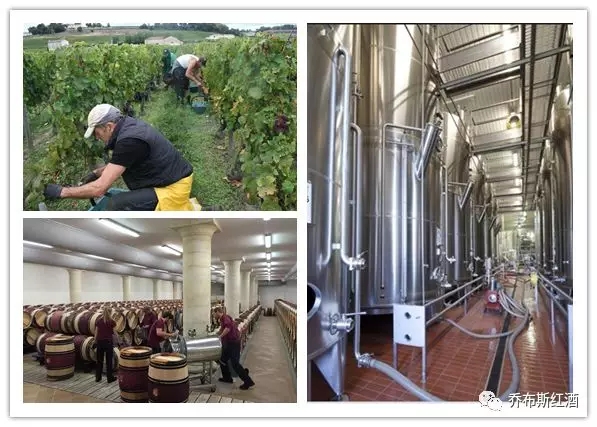 鍥?.webp.jpg 鍥?.webp.jpg